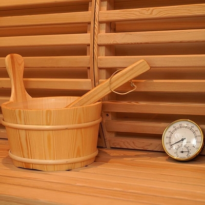 Persona eléctrica del sitio 2 de Heater Indoor Wooden Steam Sauna de la estufa de la cicuta
