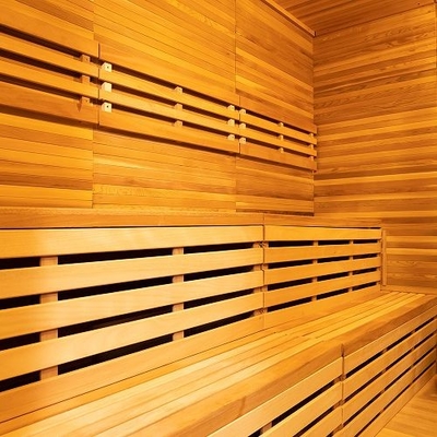 Sauna seca al aire libre con sistema de ventilación ajustable con música Bluetooth Puerta de vidrio templado