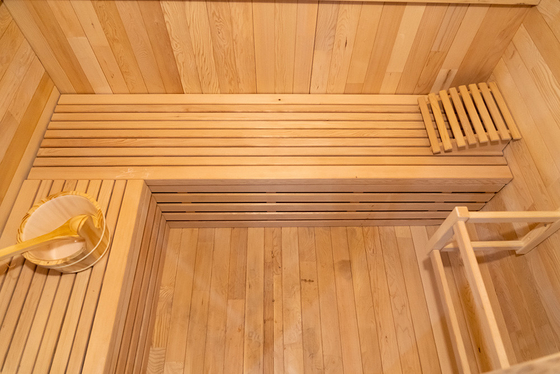 Sauna de vapor de ozono de 220V con generador de ozono